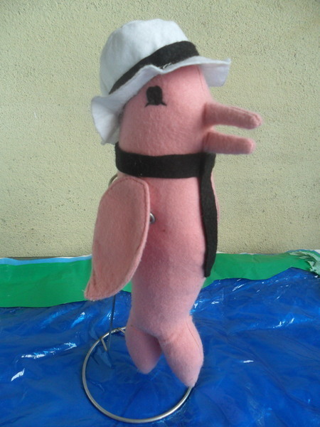 Boto rosa
